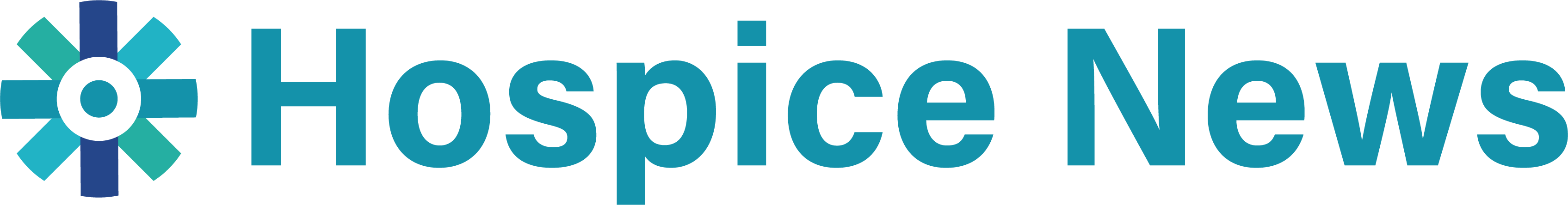 Hospice News Logo